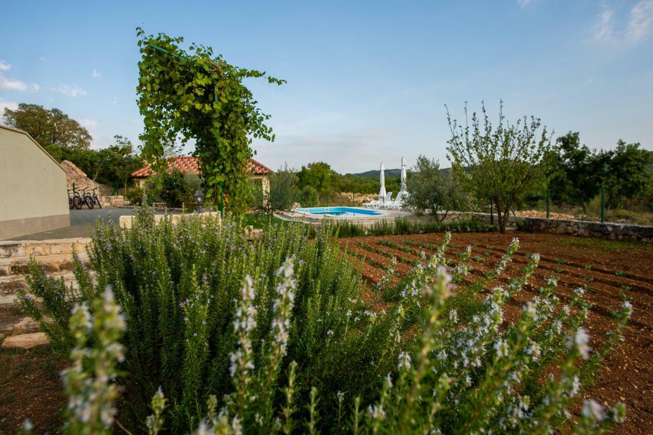 Villa Ane, Divine Holiday Trbounje Exterior photo